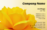 A beautiful yellow rose set against an early dawn sky on this business card design is a great template for florists or gardeners who want a lovely flower on their card.