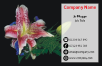 This business card has a lovely floral image in it, making it suitable for florists and gardeners.