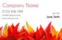 The leaves were specially taken from New England, in the fall, to give these business card templates a sophisticated feel. Just as your customers appreciate your hard work, hopefully all you florists and gardeners will appreciate our hard work in putting the design together for these business cards.