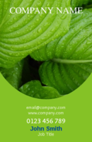 Business cards templates for florists or gardeners. The business card is green and has an image of leaves,.
