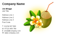 Coconut and the scent of a nice tropical holiday are the theme of this business card design